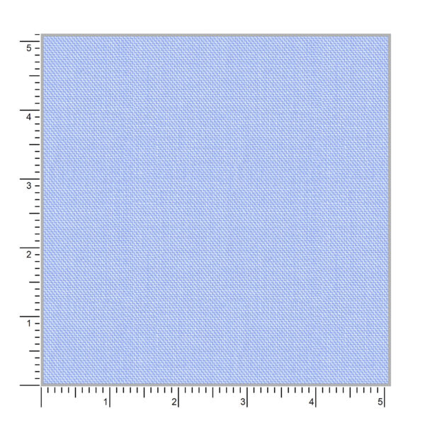 Orchid 49003 - Image 2