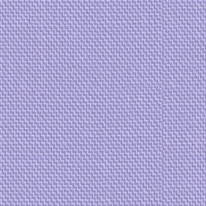 Orchid 49006