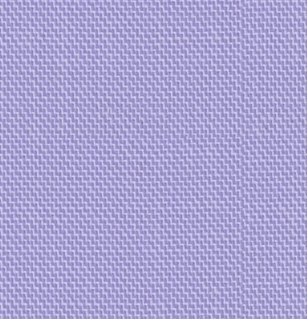 Orchid 49006