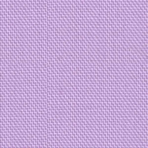 Orchid 49009