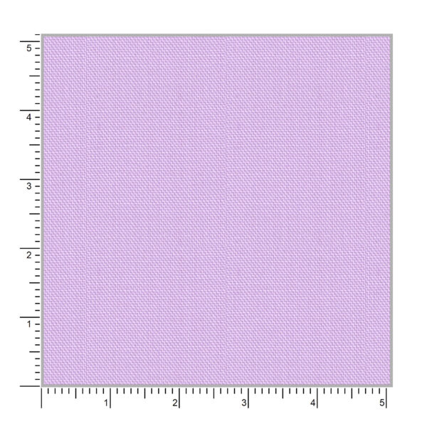 Orchid 49009 - Image 2