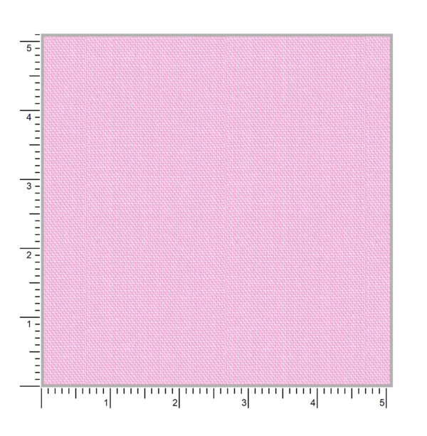 Orchid 49013 - Image 3