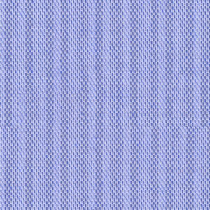 Orchid 49051