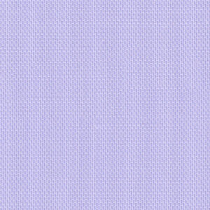 Orchid 49056