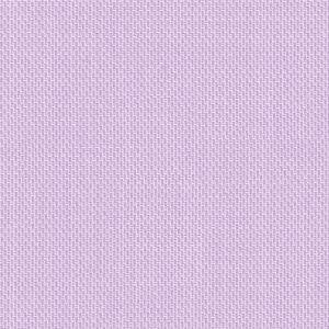 Orchid 49059