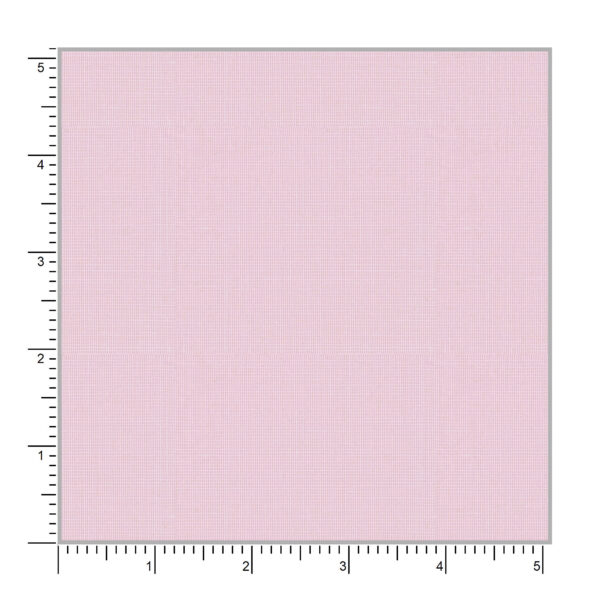 Oscar 58006 - Image 2