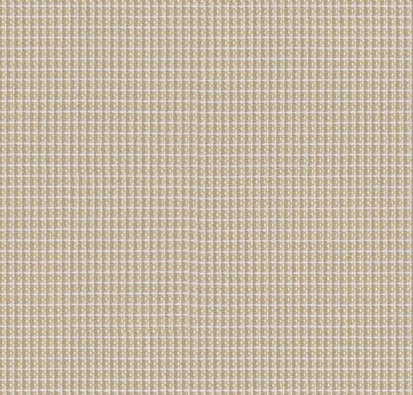 Pound 63012