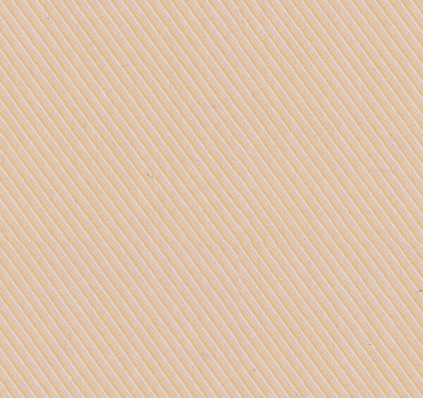 President Plus 56002
