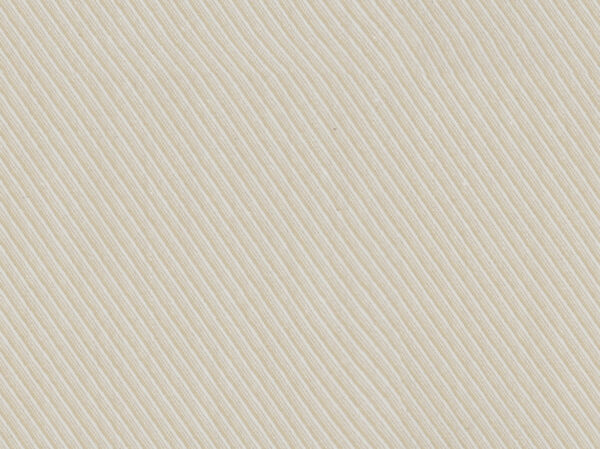 President Plus 56003