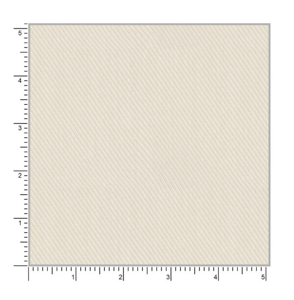 President Plus 56003 - Image 2
