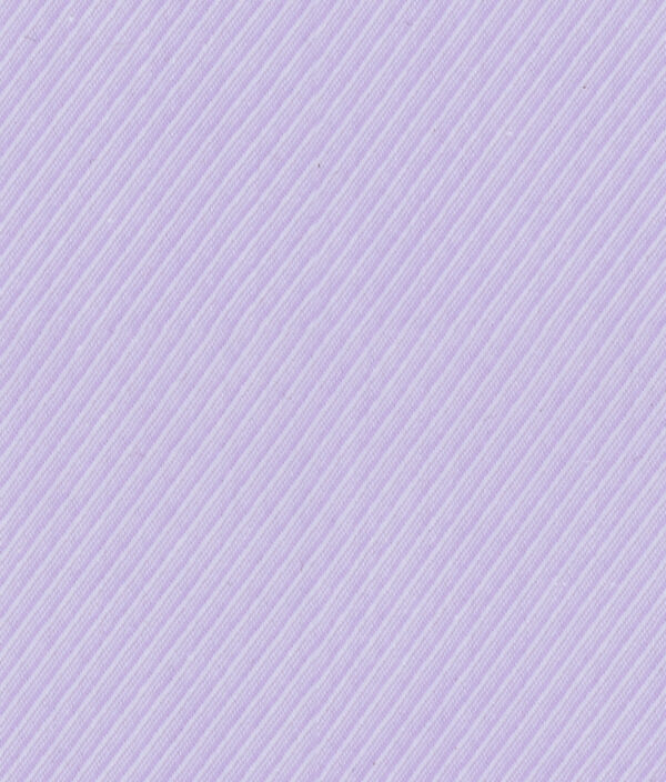 President Plus 56007