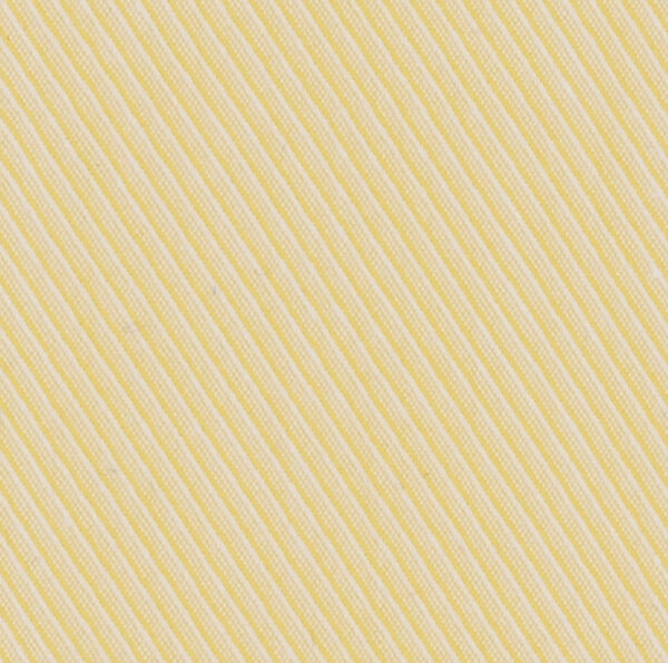President Plus 56014