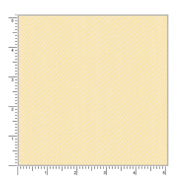 President Plus 56014 - Image 2