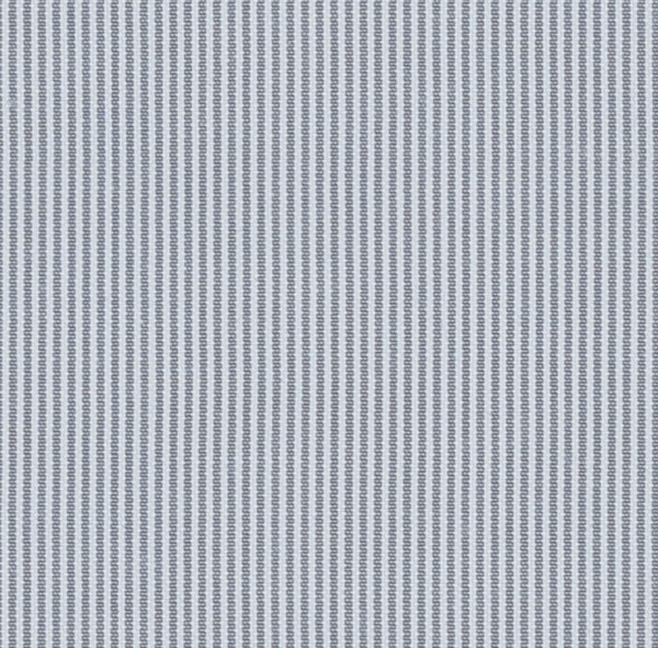 Roman 66003