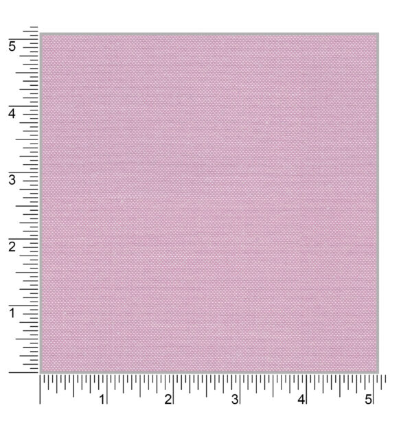 Stanford 87006 - Image 2