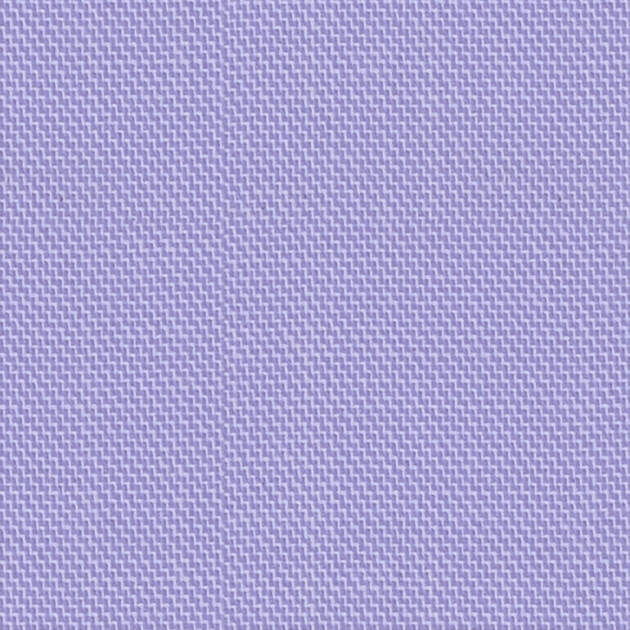 Orchid 49006