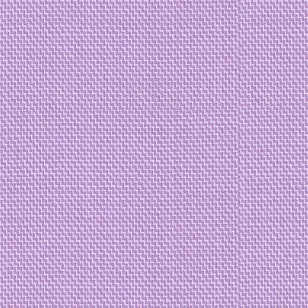 Orchid 49009