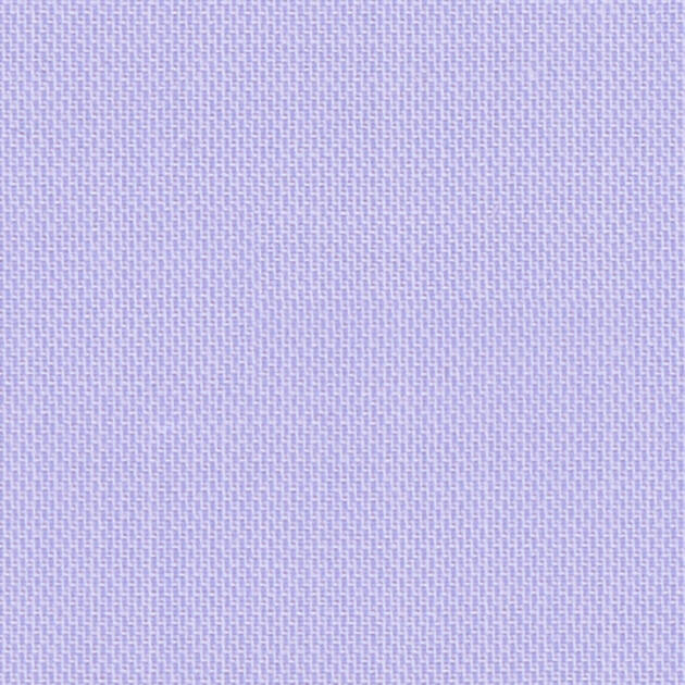 Orchid 49056