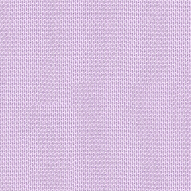 Orchid 49059