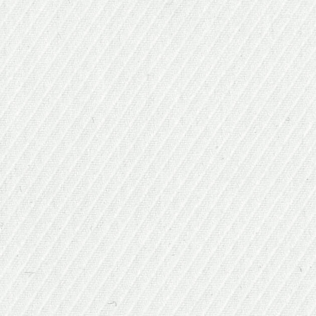 President Plus 56019