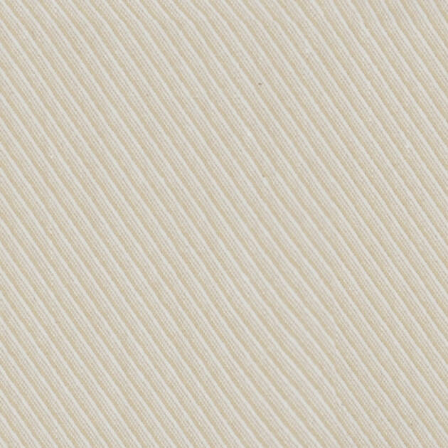 President Plus 56003