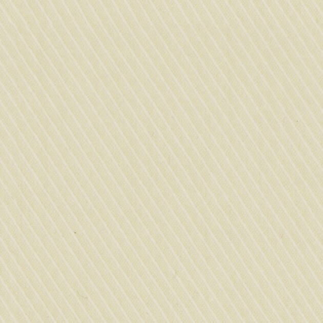 President Plus 56018