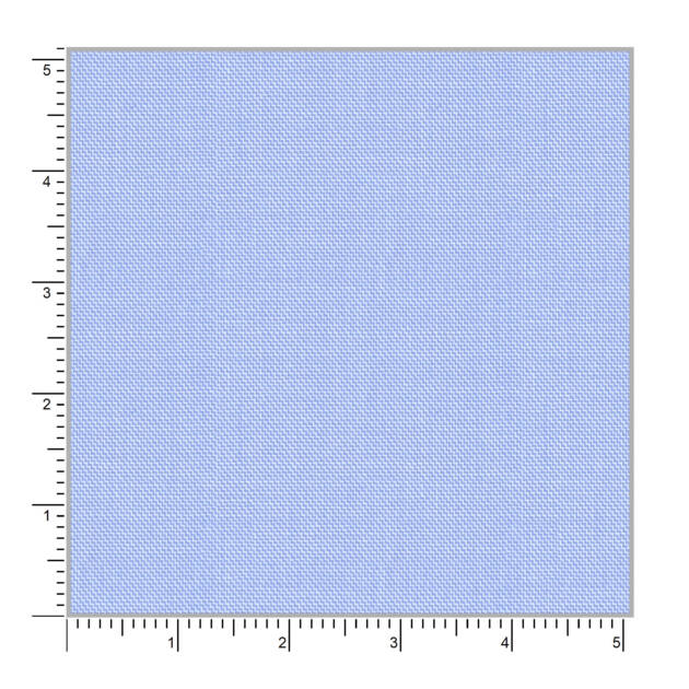Tulip 59003