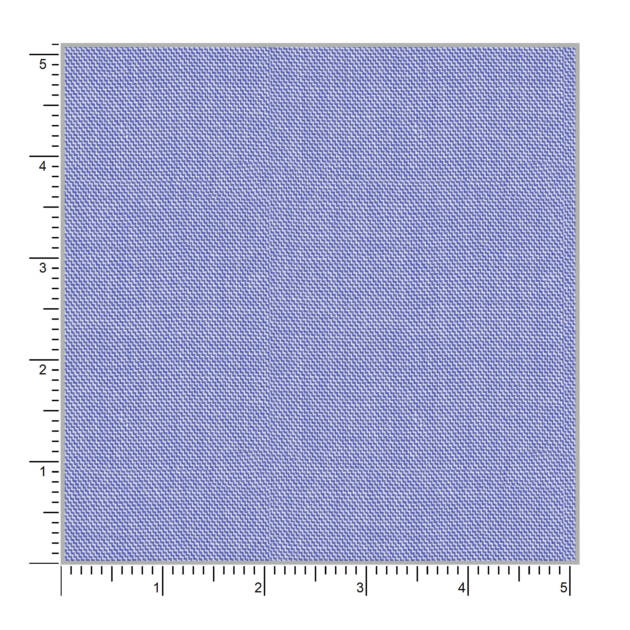 Tulip 59005