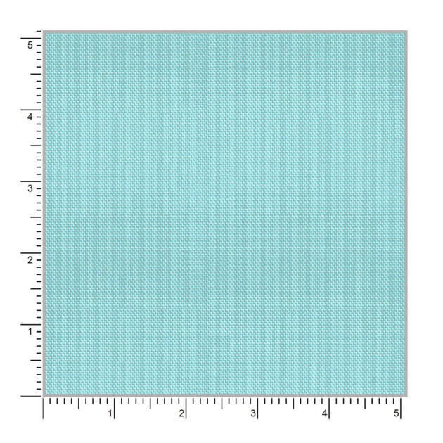 Tulip 59007