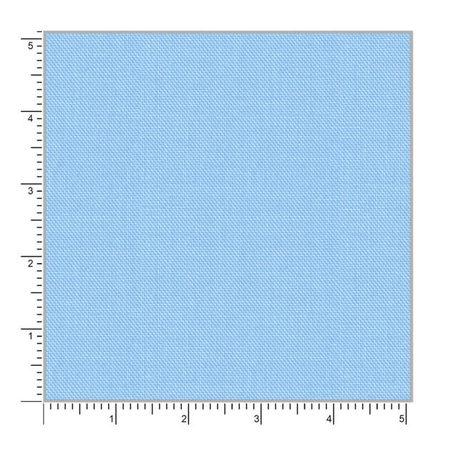 Tulip 59008
