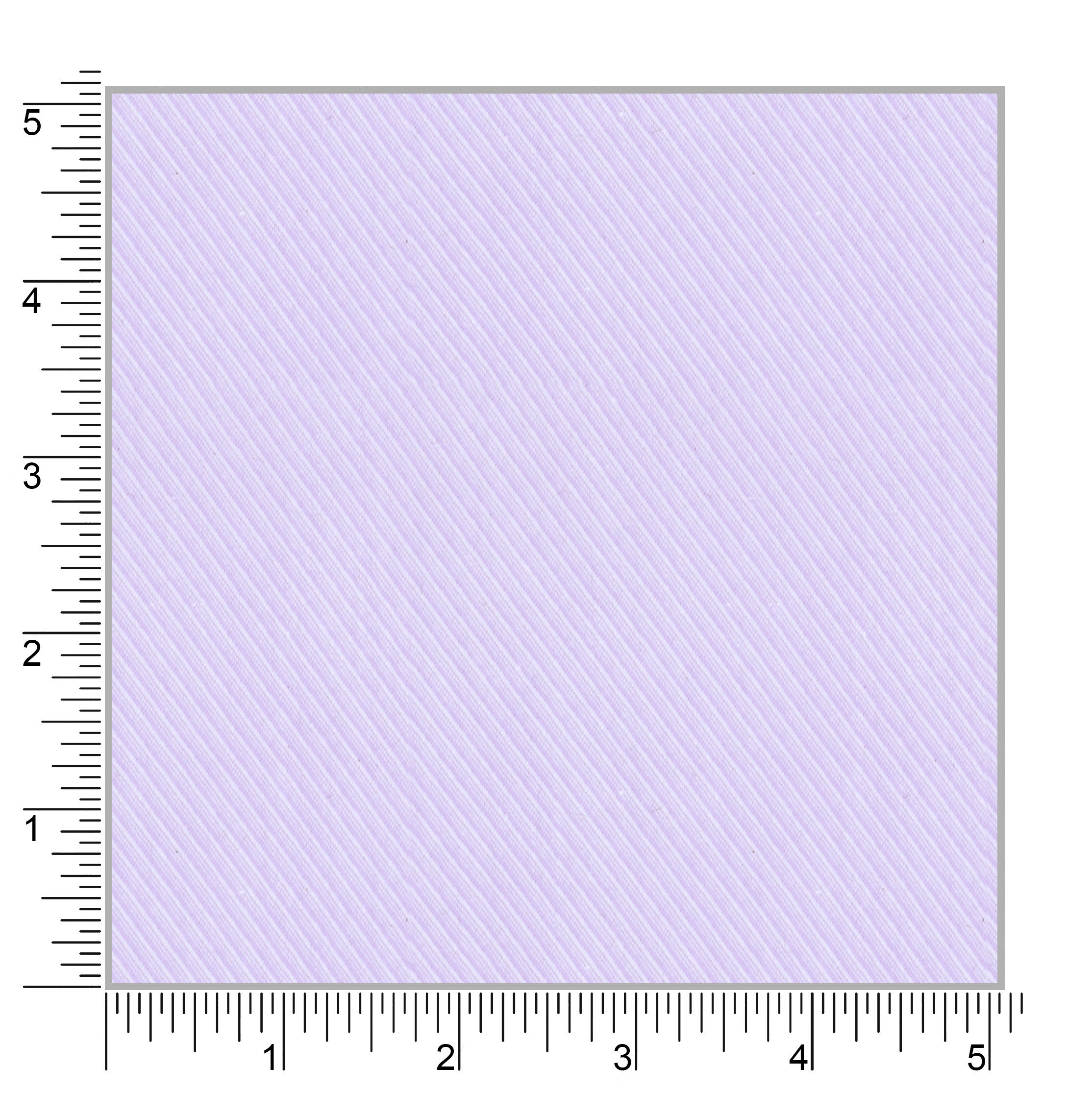 President Plus 56007 - Image 2