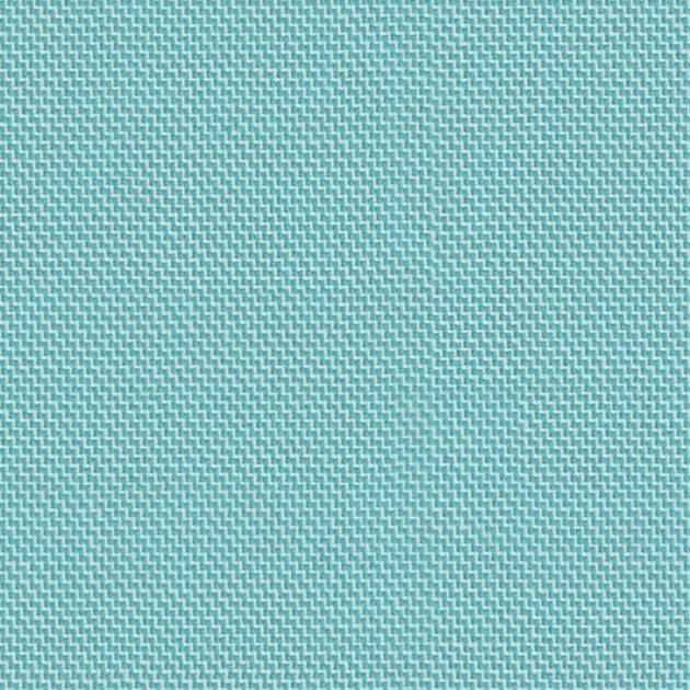 Tulip 59007